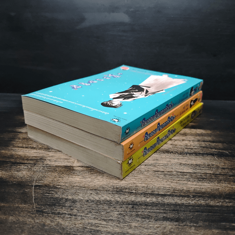 ข้ามขอบฟ้ามาหาหัวใจ เล่ม 1-3 - Choi Yu Ri, ใบ ยัมจอน