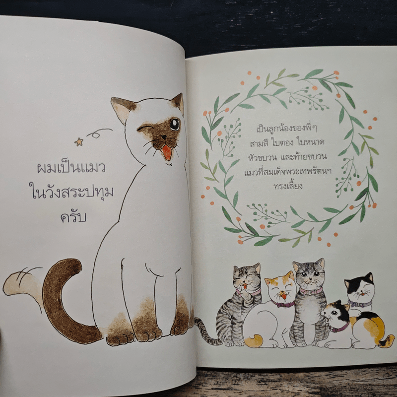 อยู่วังสระปทุม - สุมาลี, หมาจ๋า