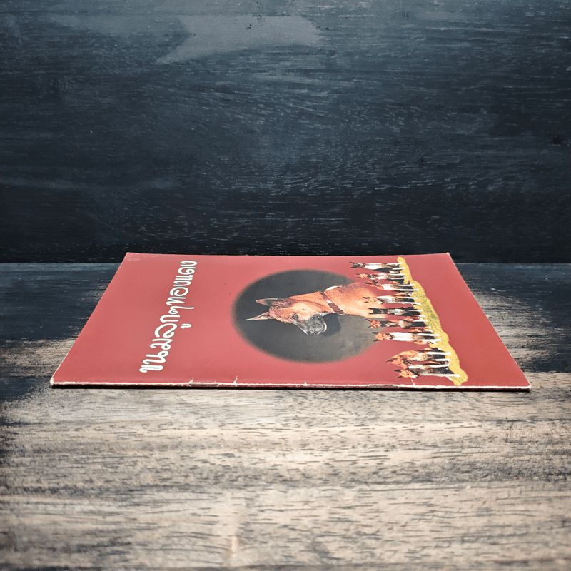 ขนมลูกๆทองแดง