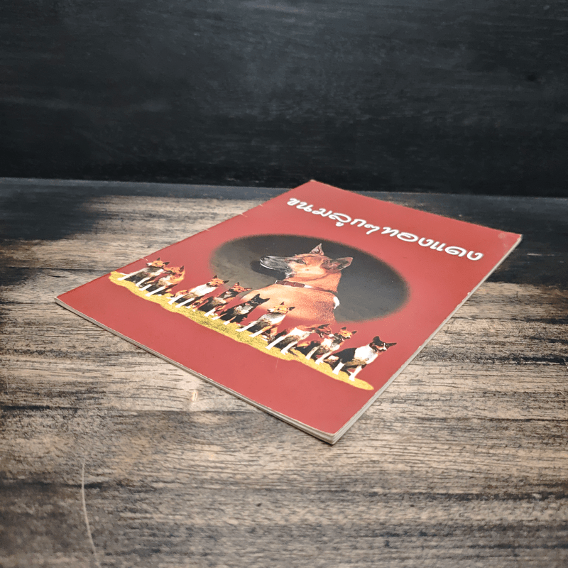 ขนมลูกๆทองแดง