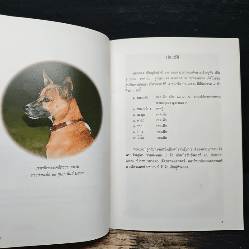 ขนมลูกๆทองแดง