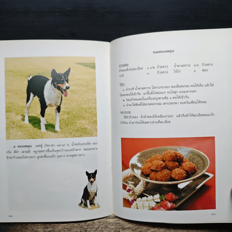 ขนมลูกๆทองแดง