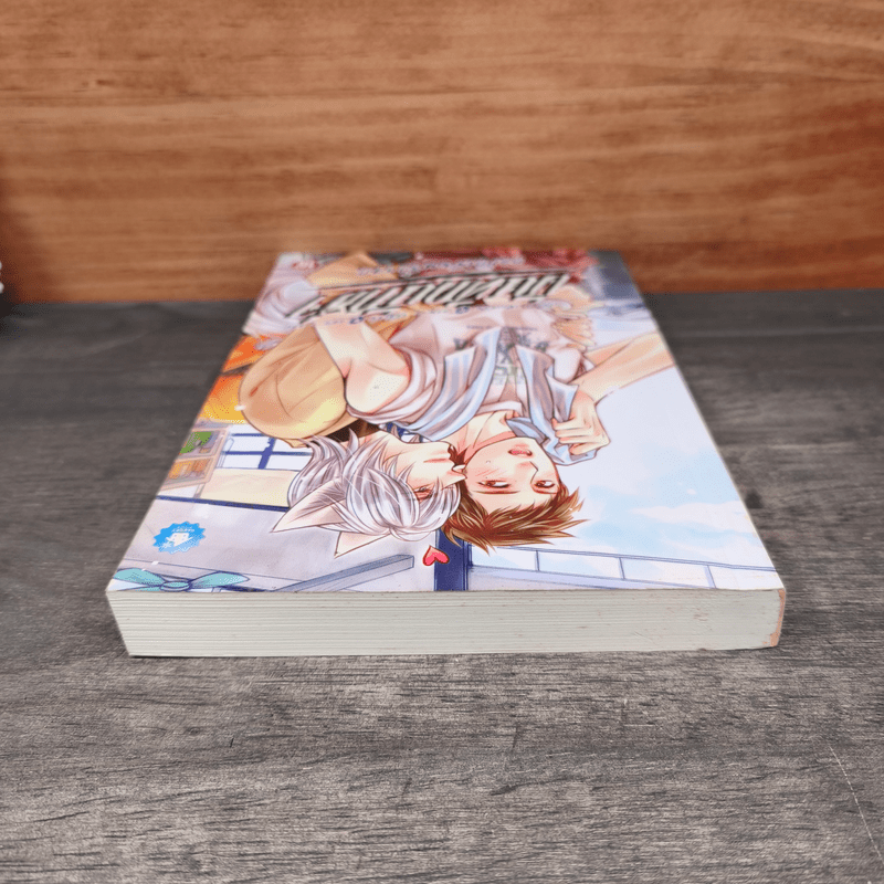 บันทึกนักล่า กลรักเซียนจิ้งจอก - เฟิงเย่ซิน