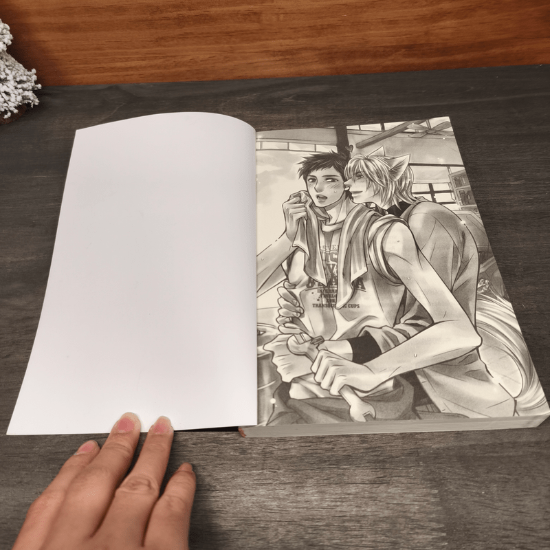 บันทึกนักล่า กลรักเซียนจิ้งจอก - เฟิงเย่ซิน