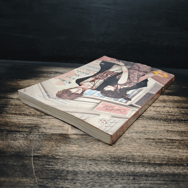 K-Boy สะกิดรักล่าหัวใจยัยจอมเปิ่น - may112