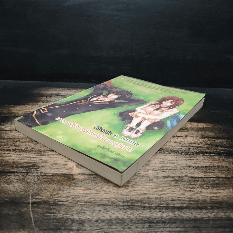 Black & White สาวซ่าส์ท้าลุยอัดหัวใจนายคู่แฝด - อะโฟรไดด์