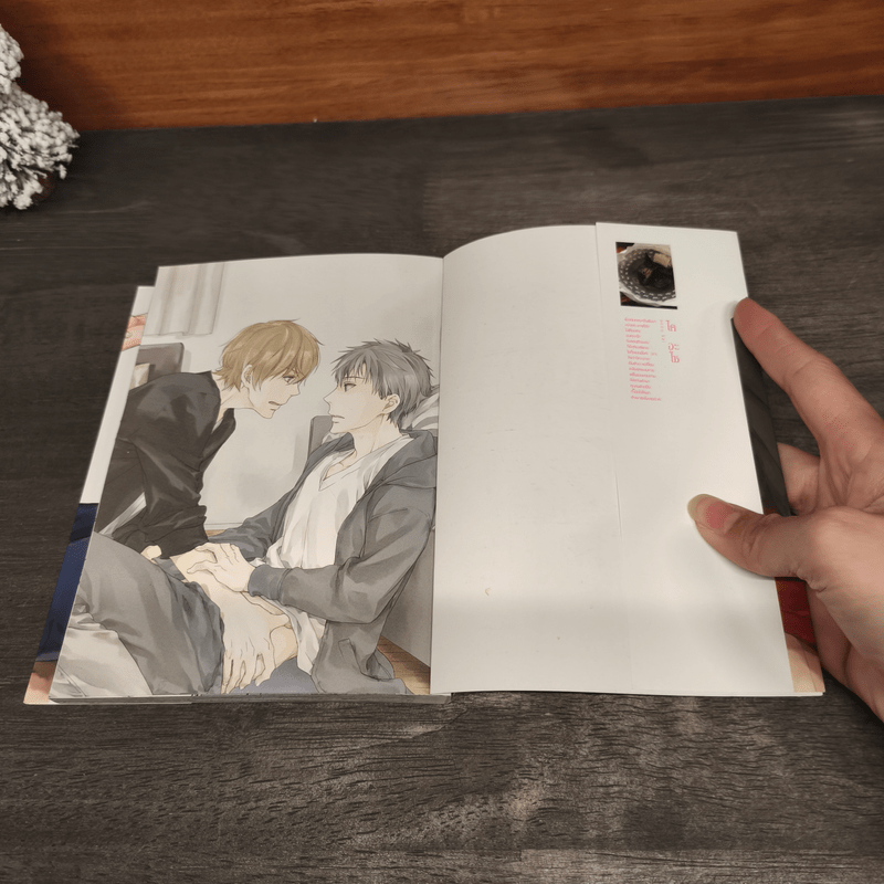 เมื่อรักของเราไม่เป็นดั่งใจฝัน 2 เล่มจบ - ไค อะโซ