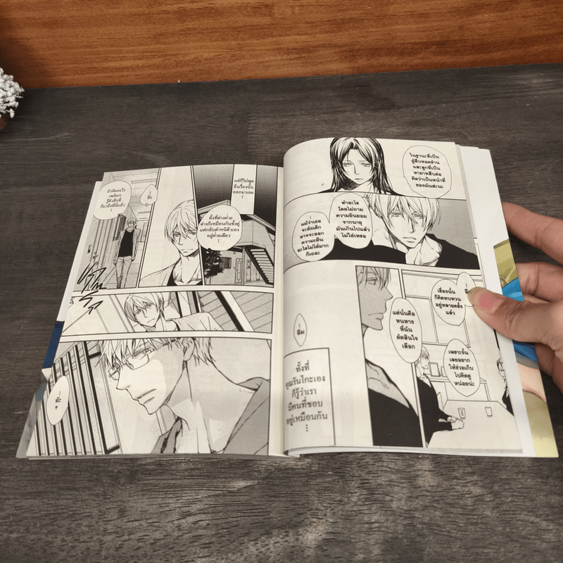 เมื่อรักของเราไม่เป็นดั่งใจฝัน 2 เล่มจบ - ไค อะโซ