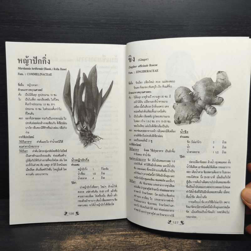 เคล็ดวิธีแก้กรรม-ปัญหาชีวิต กินอย่างไร-ไร้โรคภัย