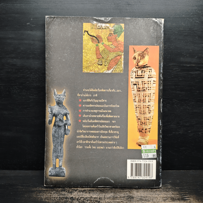 โลกเร้นลับของแมวมหัศจรรย์ - บรรยง บุญฤทธิ์