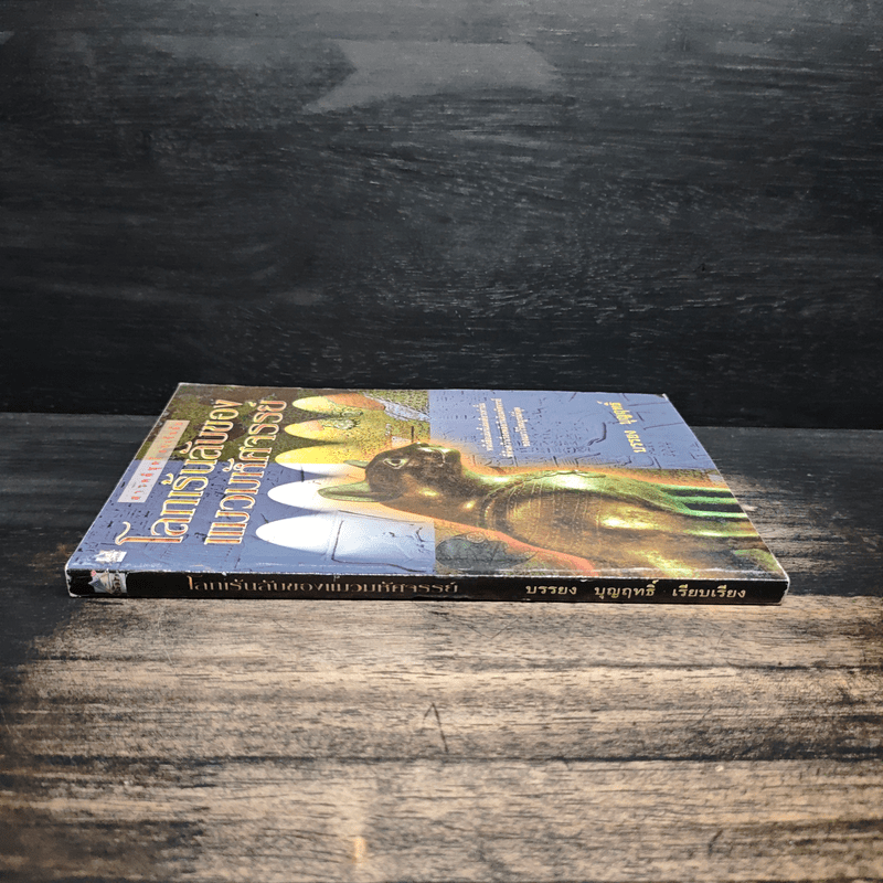 โลกเร้นลับของแมวมหัศจรรย์ - บรรยง บุญฤทธิ์