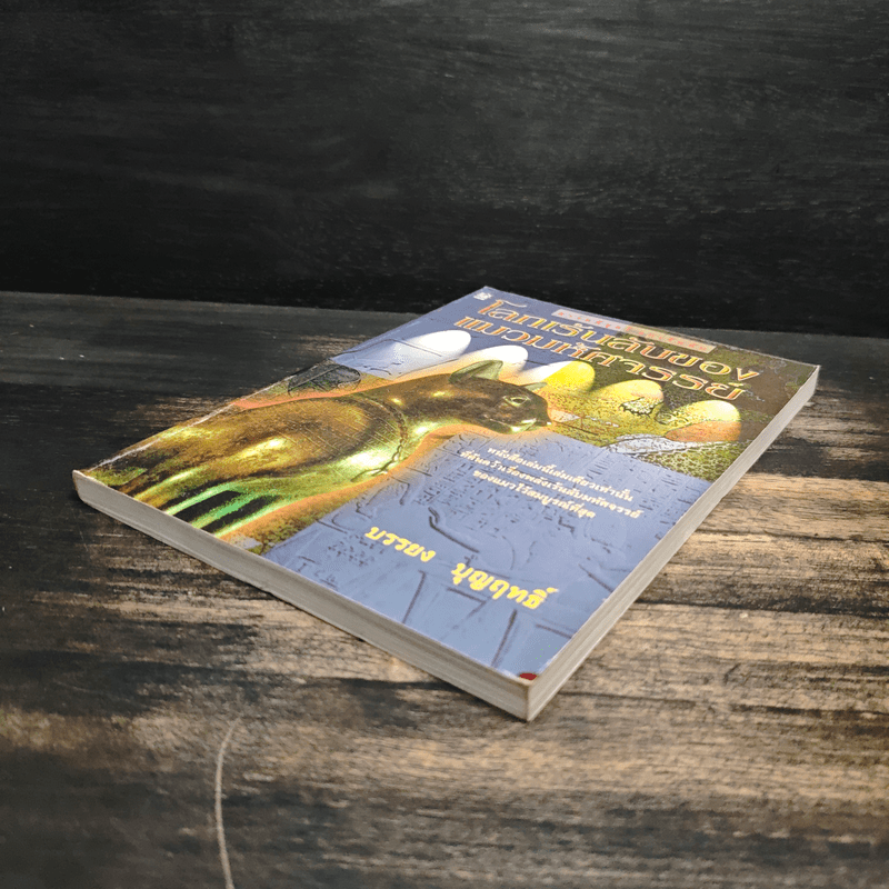 โลกเร้นลับของแมวมหัศจรรย์ - บรรยง บุญฤทธิ์