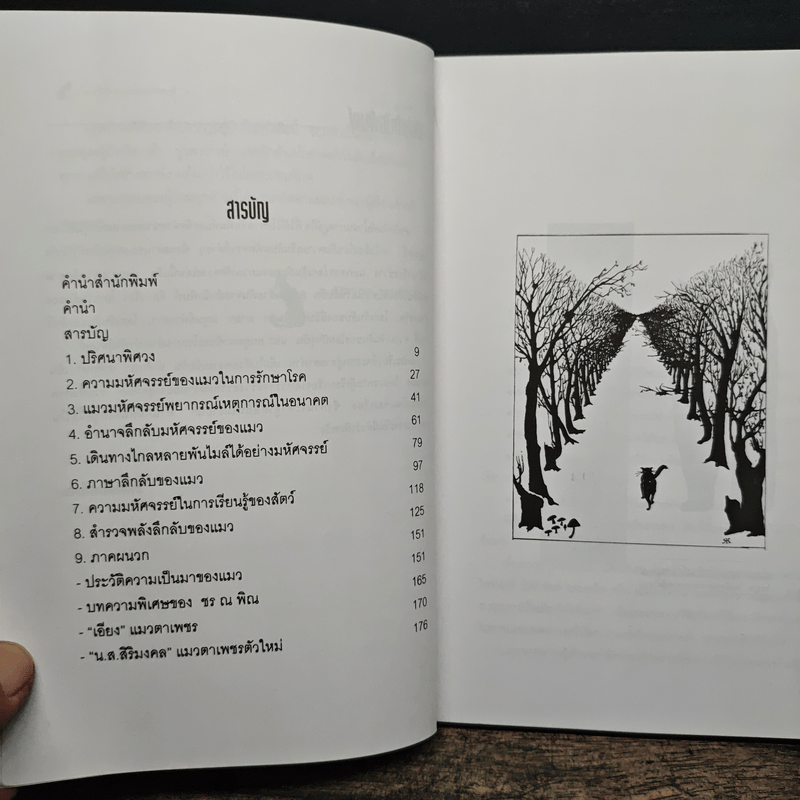 โลกเร้นลับของแมวมหัศจรรย์ - บรรยง บุญฤทธิ์