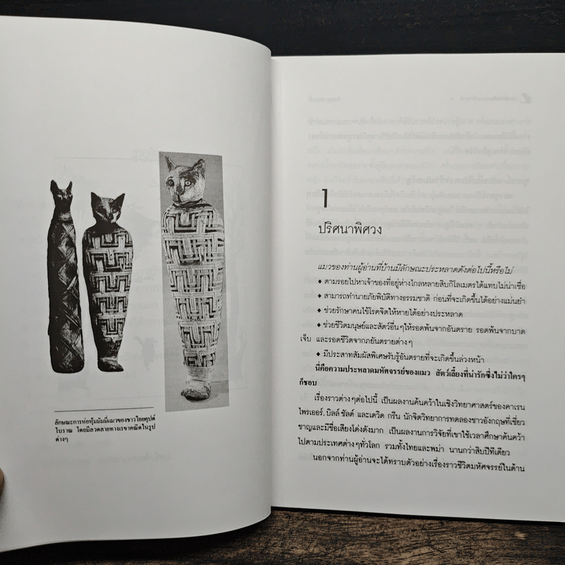 โลกเร้นลับของแมวมหัศจรรย์ - บรรยง บุญฤทธิ์