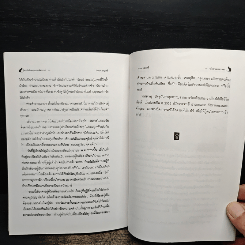 โลกเร้นลับของแมวมหัศจรรย์ - บรรยง บุญฤทธิ์