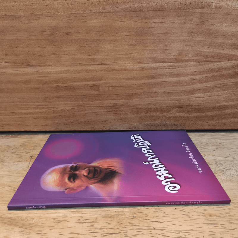 อารมณ์การปฏิบัติ - หลวงพ่อเทียน จิตฺตสุโภ