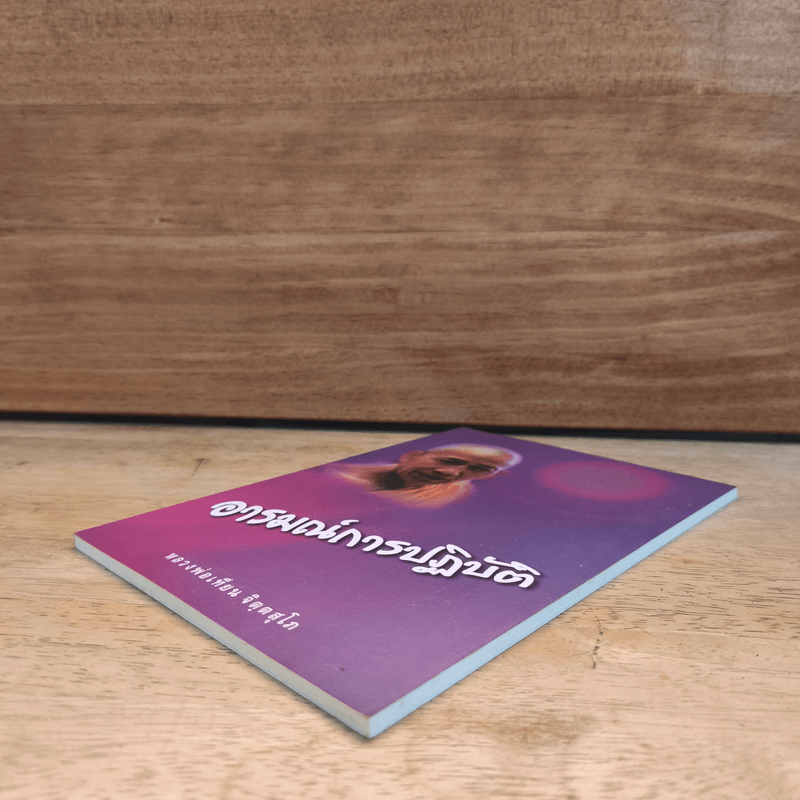 อารมณ์การปฏิบัติ - หลวงพ่อเทียน จิตฺตสุโภ