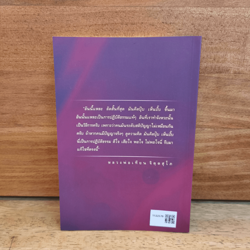 อารมณ์การปฏิบัติ - หลวงพ่อเทียน จิตฺตสุโภ