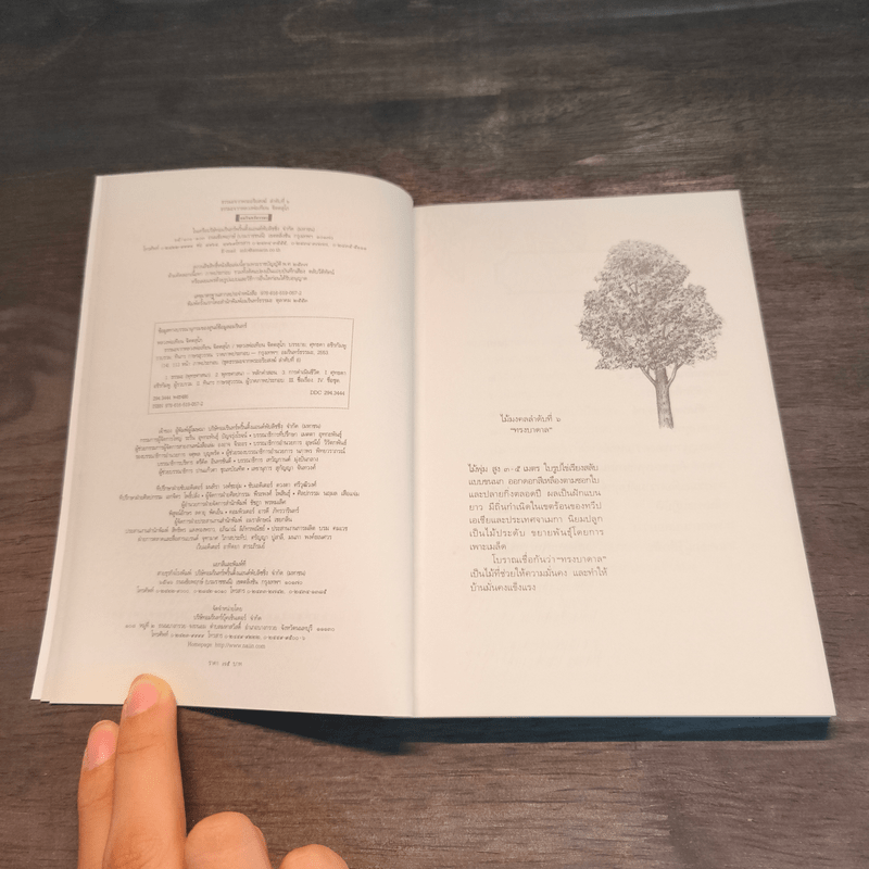 ธรรมะจากหลวงพ่อเทียน จิตตสุโภ - หลวงพ่อเทียน จิตฺตสุโภ