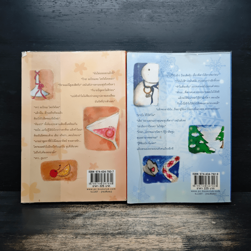 Seasons Fall in Love 2 เล่มจบ - binlaway