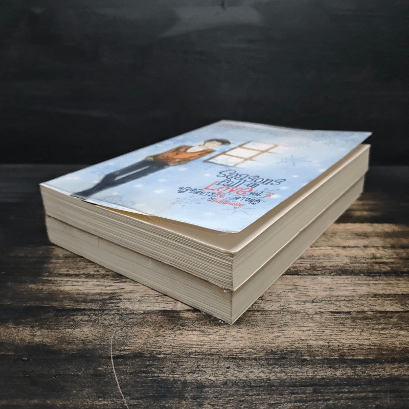 Seasons Fall in Love 2 เล่มจบ - binlaway