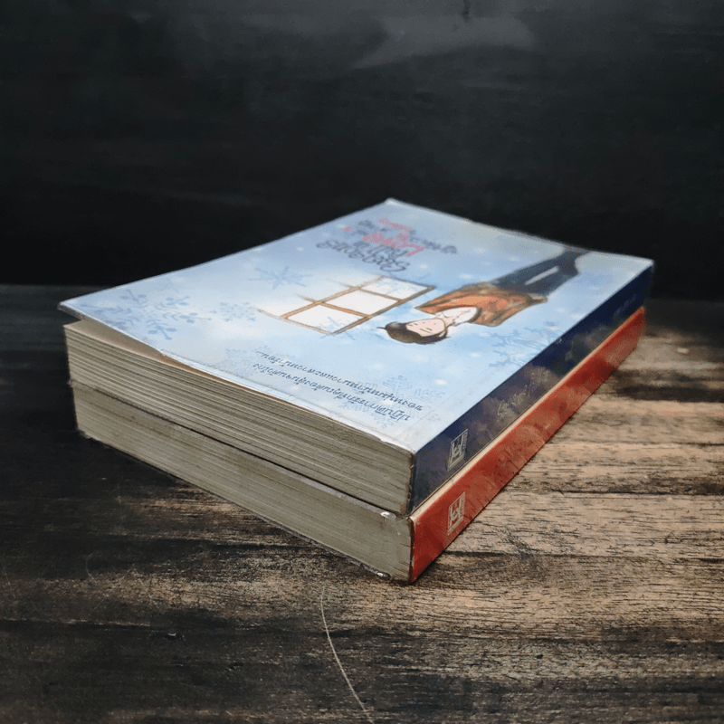 Seasons Fall in Love 2 เล่มจบ - binlaway