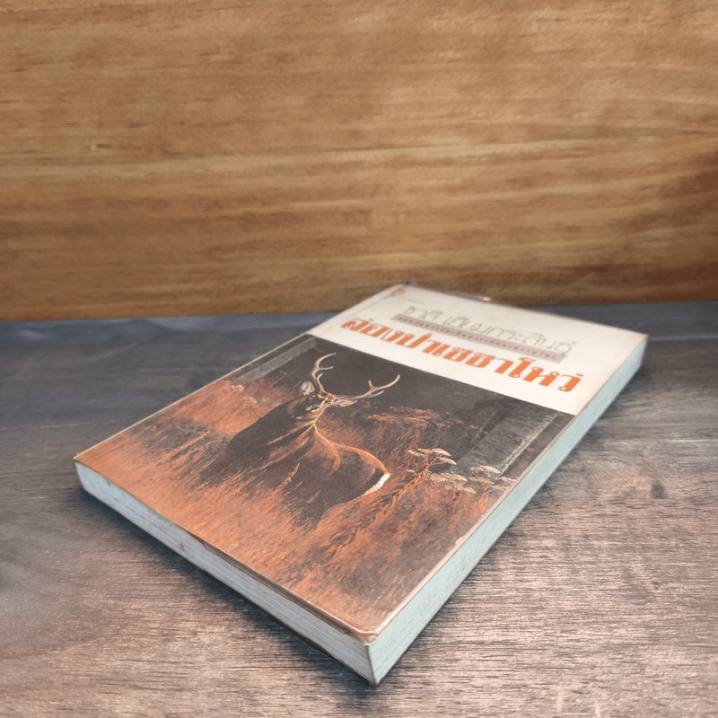 ล่องป่าเซซาโหว่ - ชาลี เอี่ยมกระสินธุ์