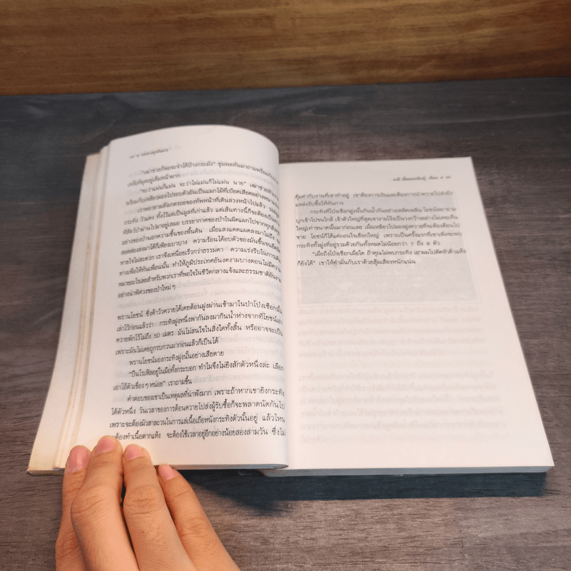 ป่าโป่งเชือก - ชาลี เอี่ยมกระสินธุ์