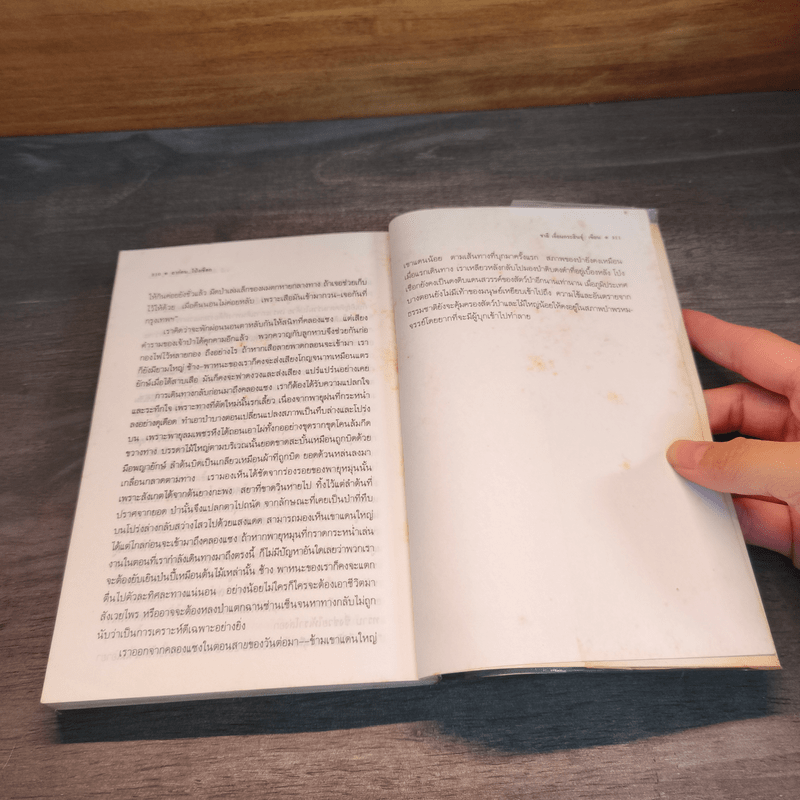 ป่าโป่งเชือก - ชาลี เอี่ยมกระสินธุ์