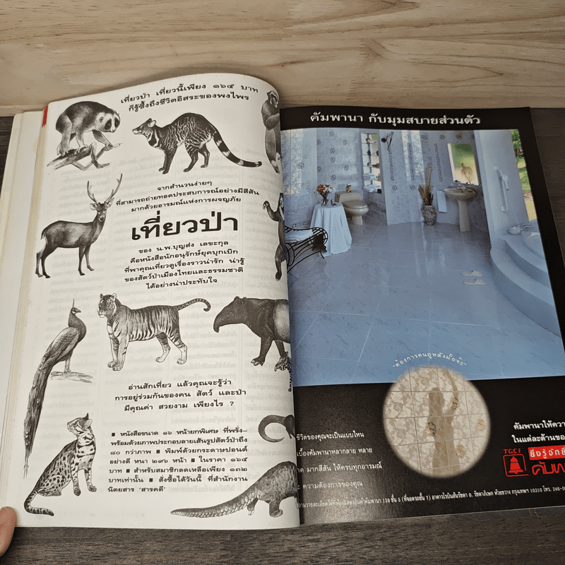 Feature Magazine สารคดี ฉบับที่ 93 ปีที่ 8 พ.ย.2535