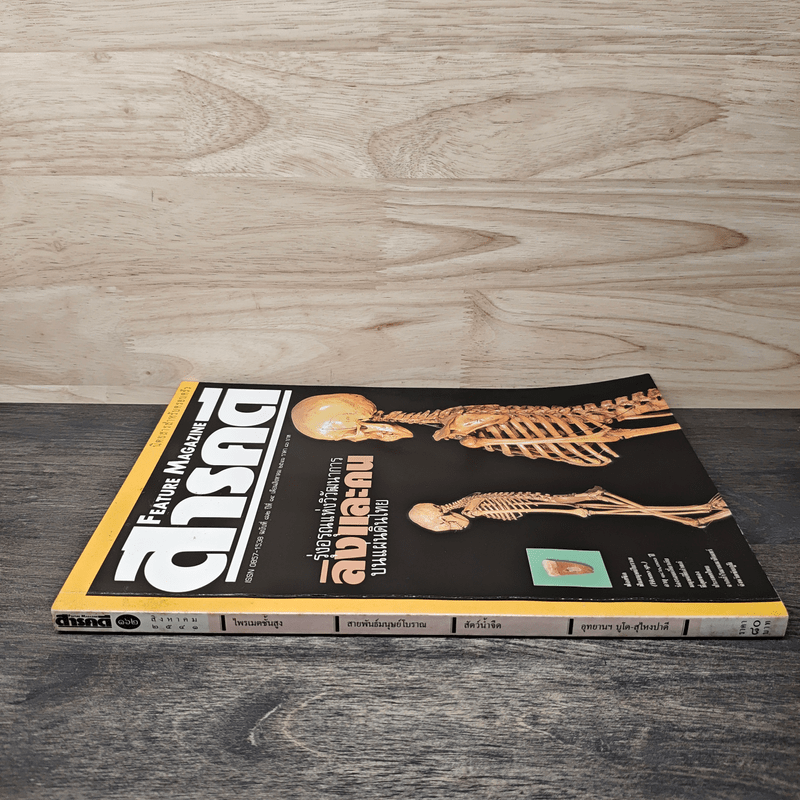 Feature Magazine สารคดี ฉบับที่ 162 ปีที่ 14 ส.ค.2541